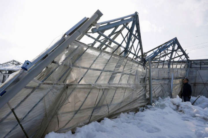 2014年２月の大雪でハウス倒壊が相次いだ