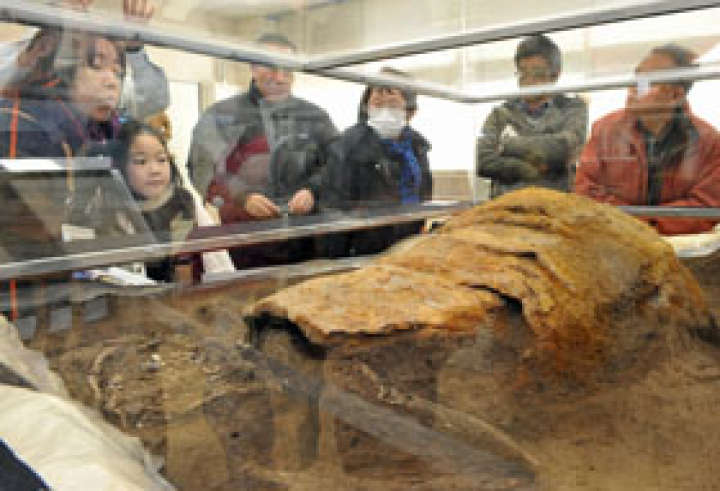 県埋蔵文化財調査事業団で３月に公開された甲装着人骨。火山灰が取り除かれ、両脚や腕の骨まではっきり分かるようになった